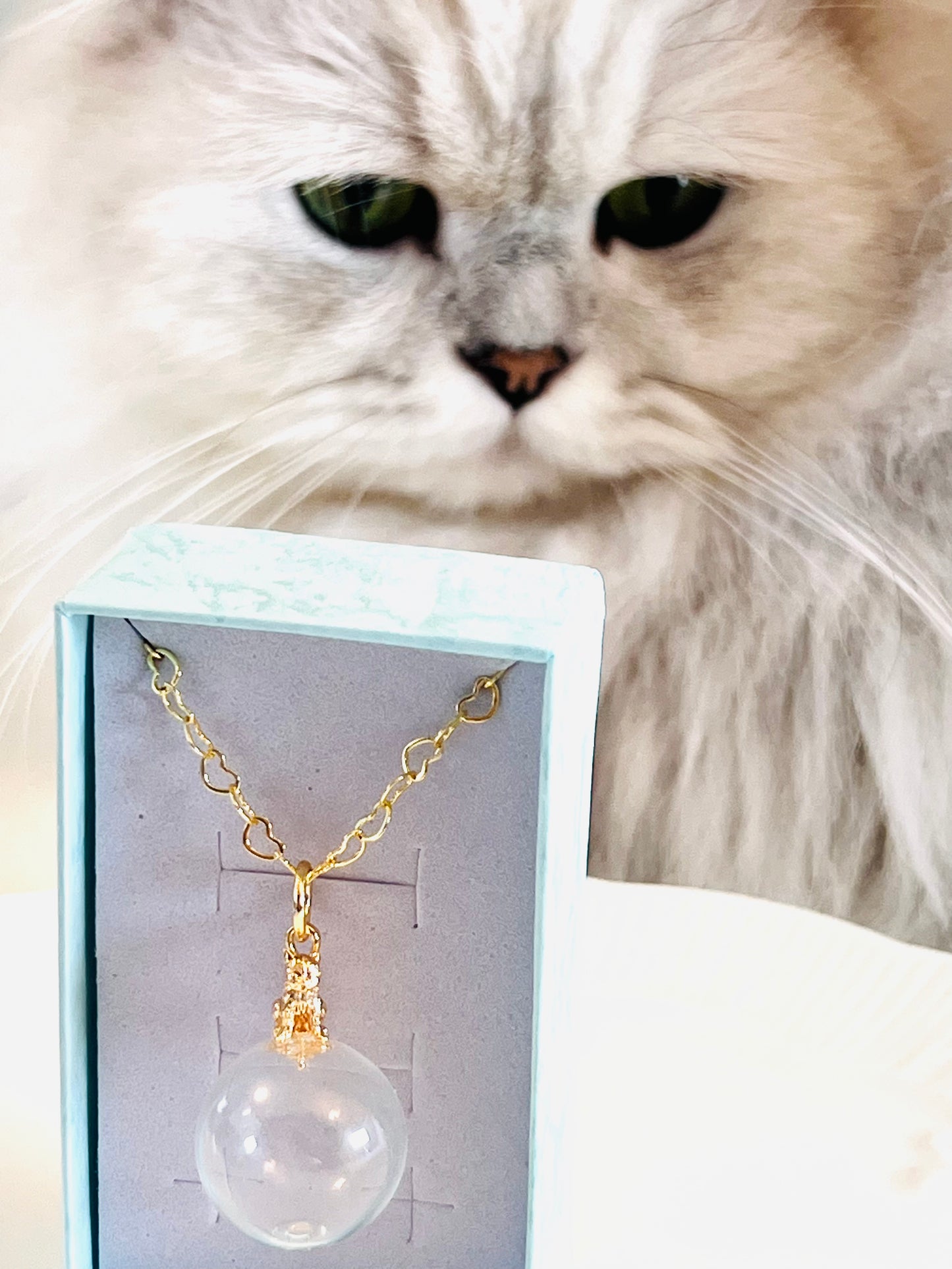 Golden cat on glass with heart-shaped necklace