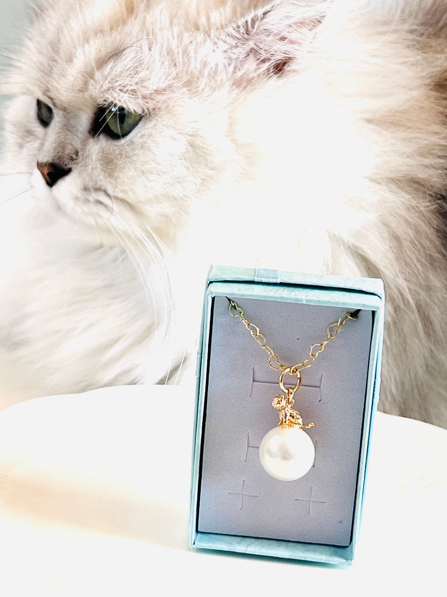 Golden cat on shell pearl with heart-shaped necklace