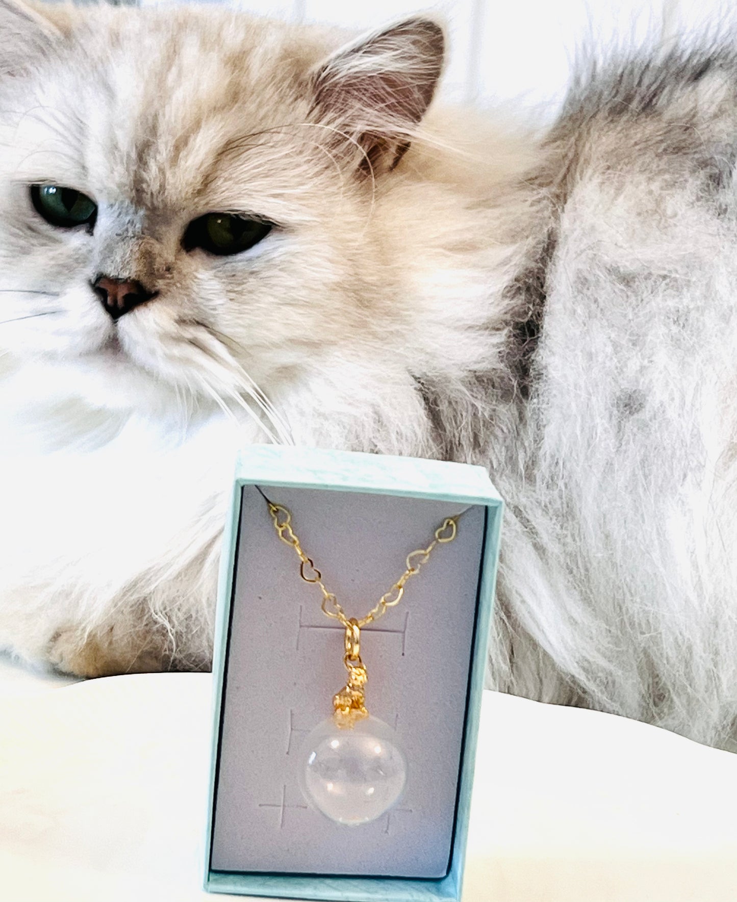 Golden cat on glass with heart-shaped necklace