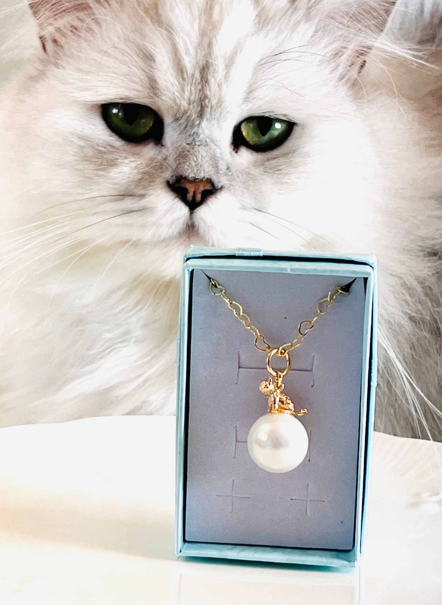 Golden cat on shell pearl with heart-shaped necklace