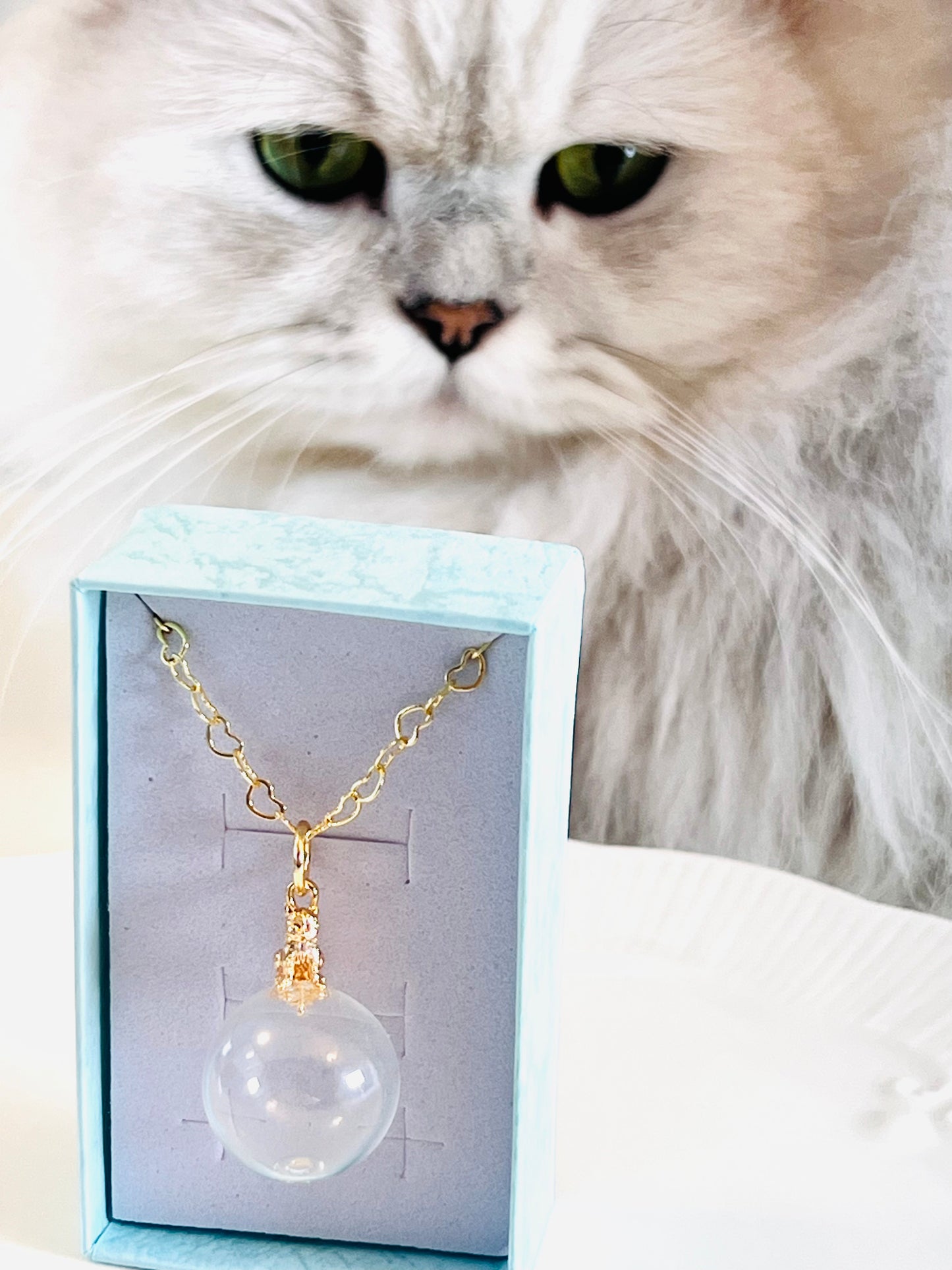 Golden cat on glass with heart-shaped necklace