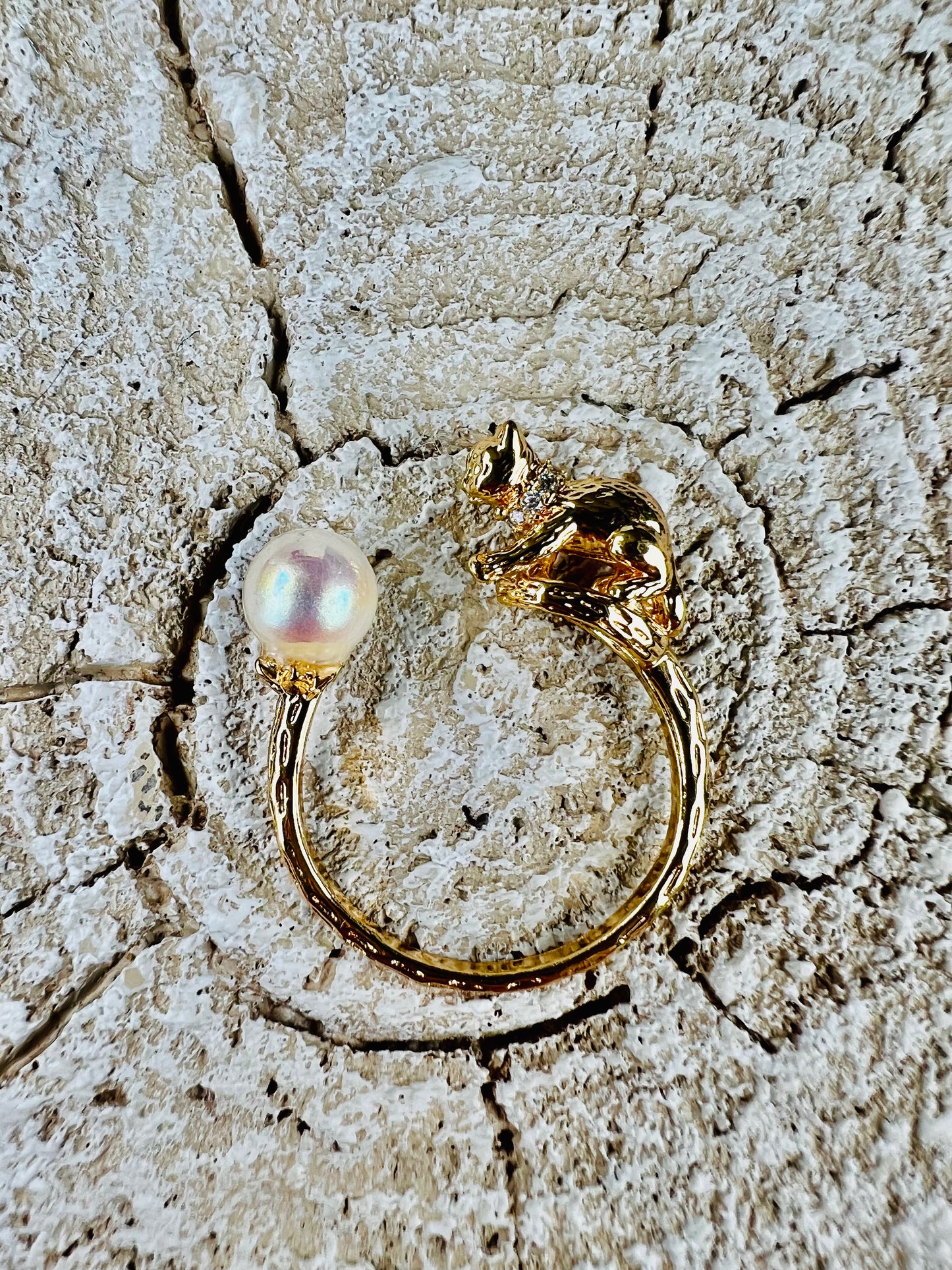 Cat playing with pearl ring