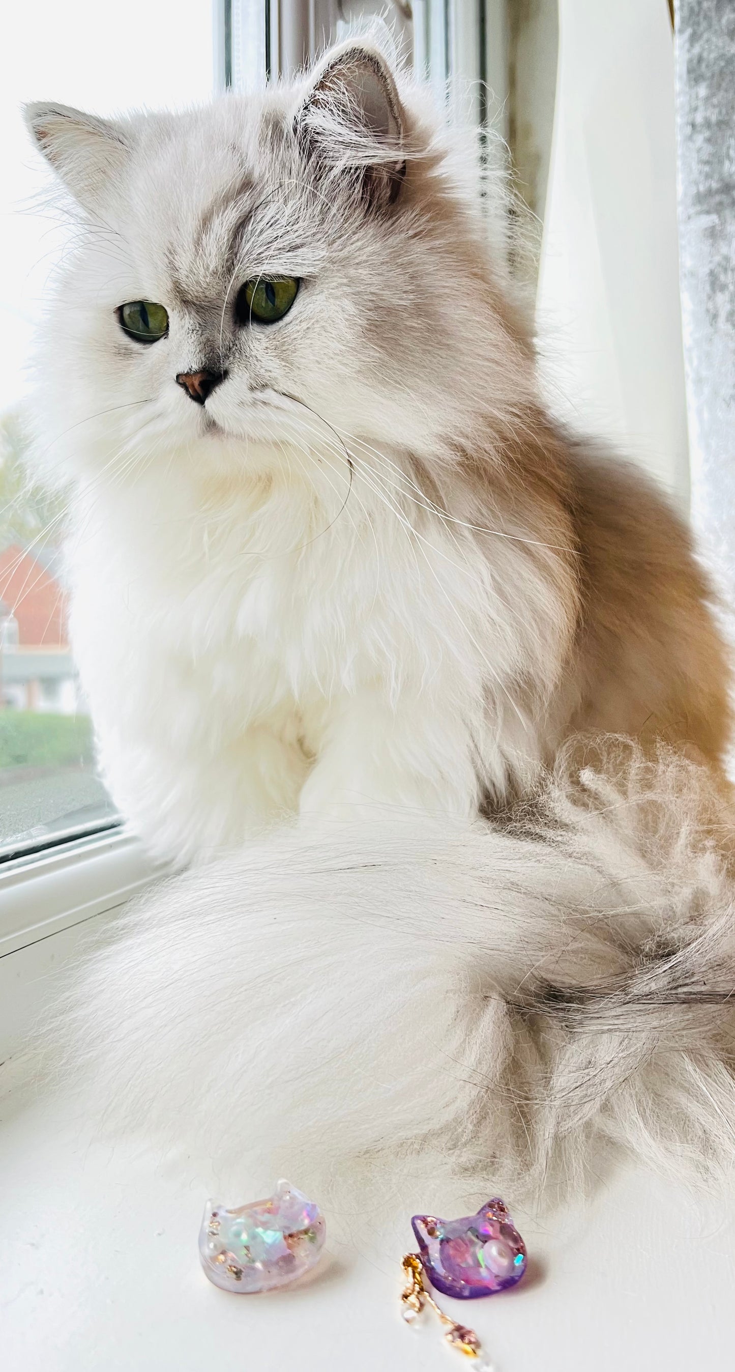 Lovely cat with shiny shell and pearl brooches